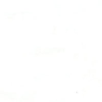 KKF6647GS KKF6647GS-21