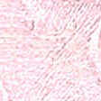 KKF7398-W-1 KKF7398-W-1-140