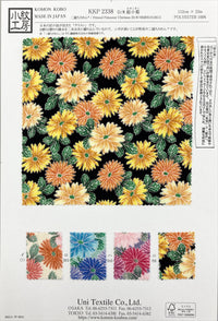 KKP2338-HimeKogiku KKP2338-HimeKogiku-COVER