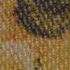 5026-1301 5026-1301-B