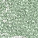 KKP3338-99 KKP3338-99-LG