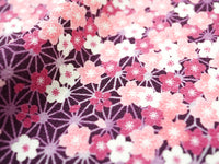 KKP2338-Hanafubuki KKP2338-Hanafubuki-TEX5
