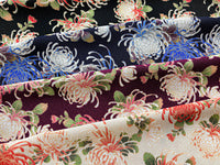 KKP2338-KikunoMai KKP2338-KikunoMai-TEX3
