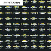AH9520 AH9520-2B
