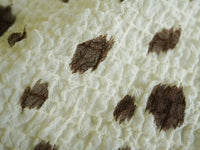 KKP3066-66 KKP3066-66-TEX2