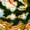 KKP3803L-3 KKP3803L-3-A