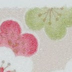 KKP2338-Koubaika KKP2338-Koubaika-リ