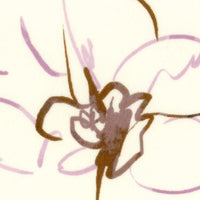KKP3396-58-BK-133W KKP3396-58-BK-133W-A