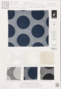 KKOP9117-24 KKOP9117-24-COVER
