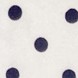 KKP1090-69 KKP1090-69-N