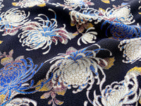 KKP2338-KikunoMai KKP2338-KikunoMai-TEX2