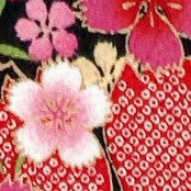 KKP2338-HittaSakura KKP2338-HittaSakura-ニ