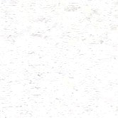 KKF1076-W-2 KKF1076-W-2-11