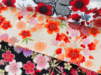 KKP2338-HittaSakura KKP2338-HittaSakura-TEX3