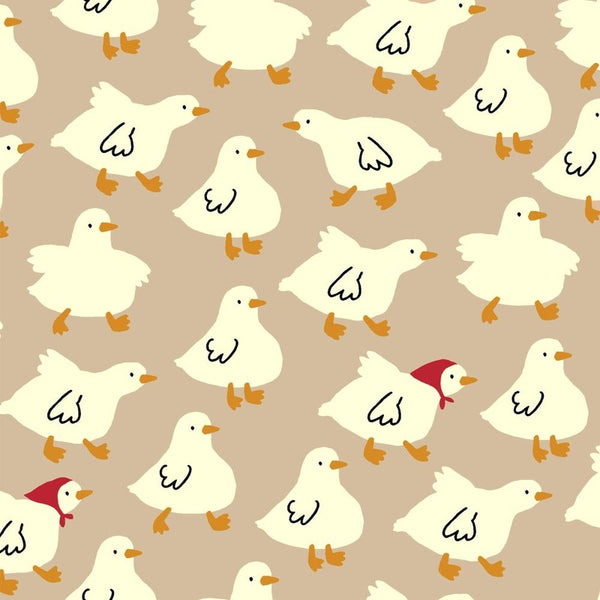 SP6513 - C100% - OXFORD