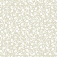 AP4860 AP4860-2B
