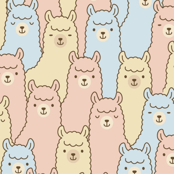 のんびりアルパカ