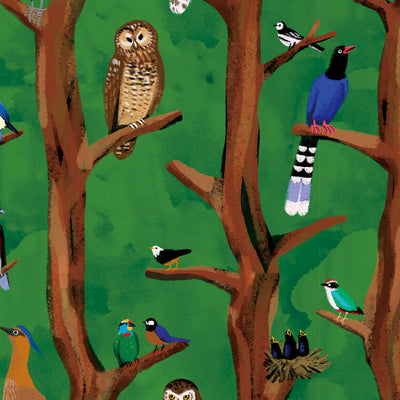 Birds Encyclopedia Puzzle Mat