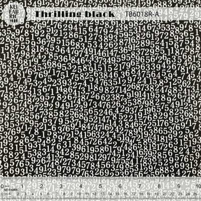 TB6018R