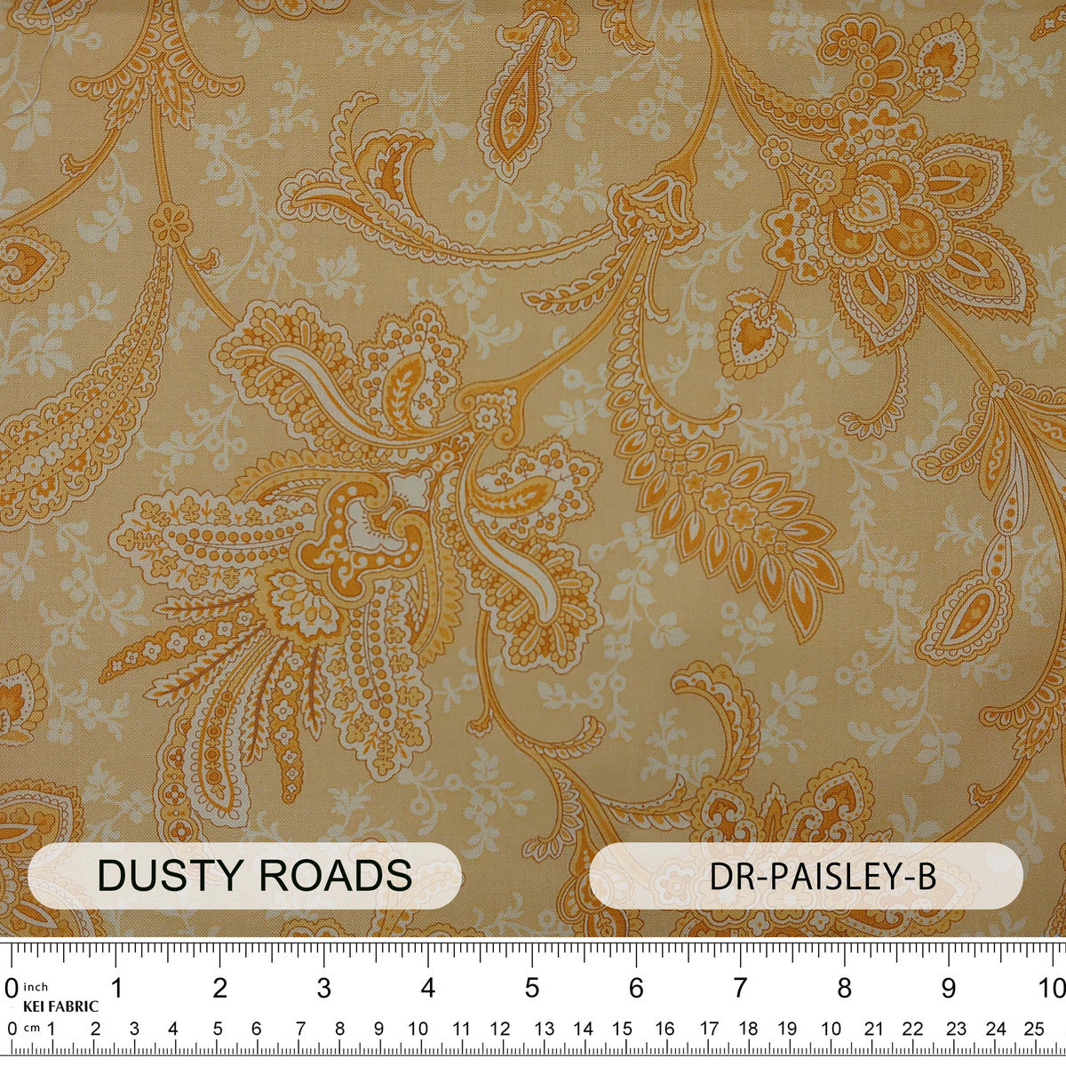 DR-PAISLEY