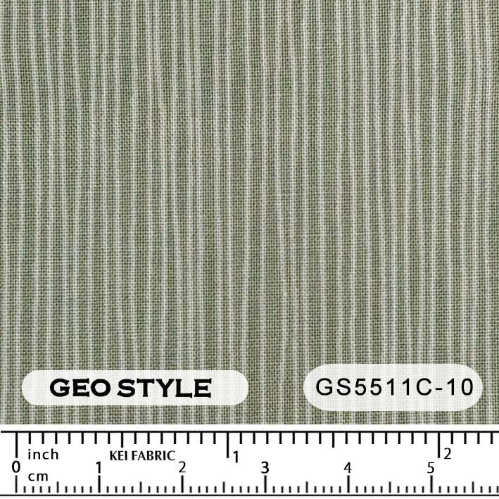 GS5511C
