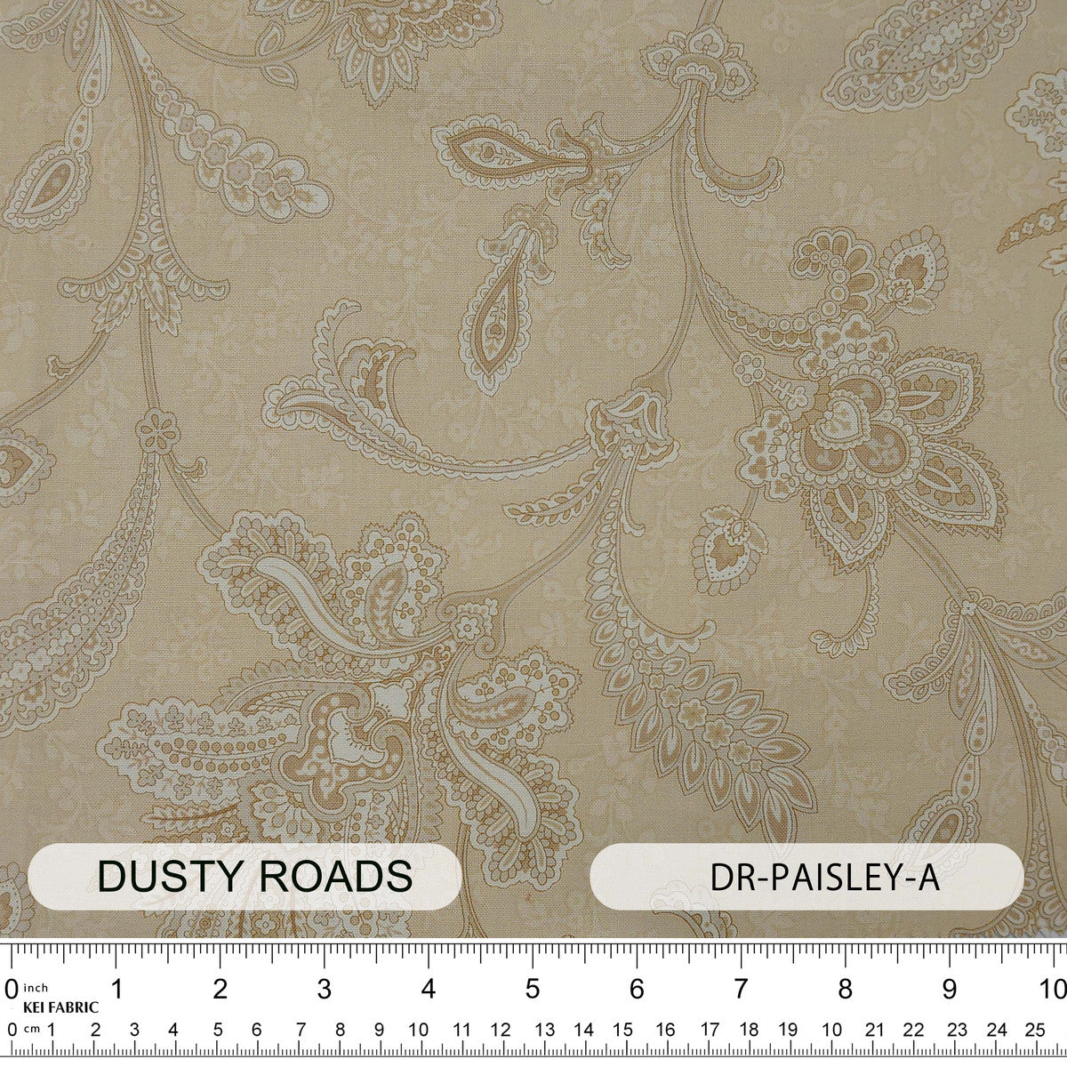 DR-PAISLEY