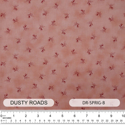 DR-SPRIG
