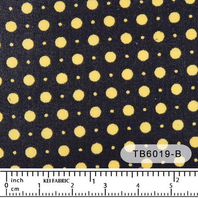 TB6019