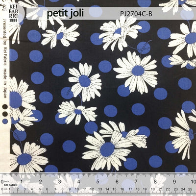 PJ2704C