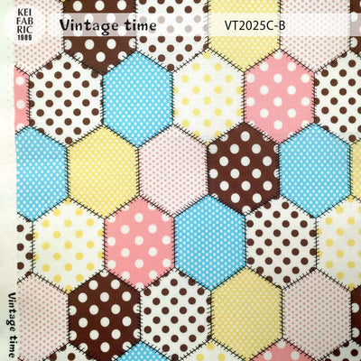 VT2025C