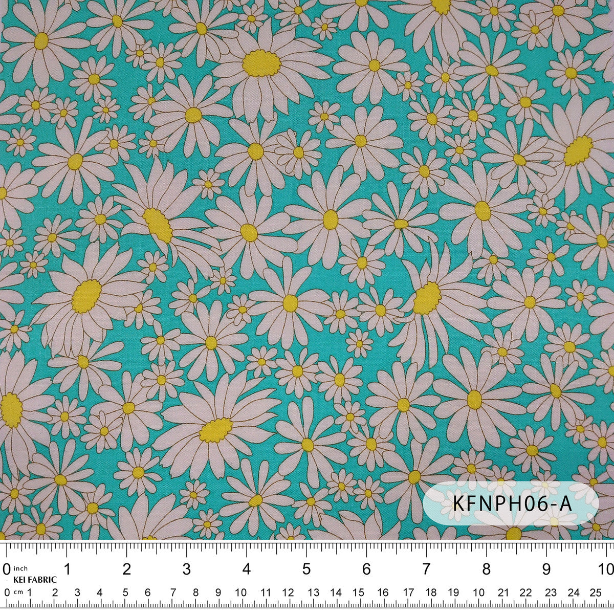 KFNPH06フォーチュンラブ