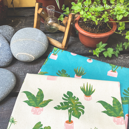 お部屋の観葉植物